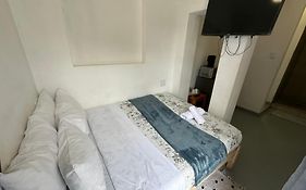 Southernwood Nest